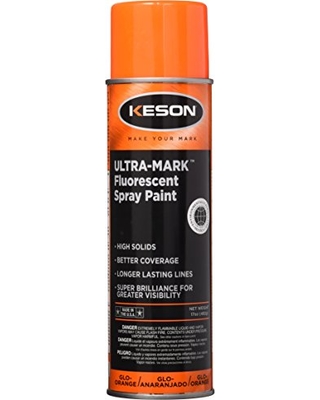 Spray Paint 20 OZ Glo-Orange